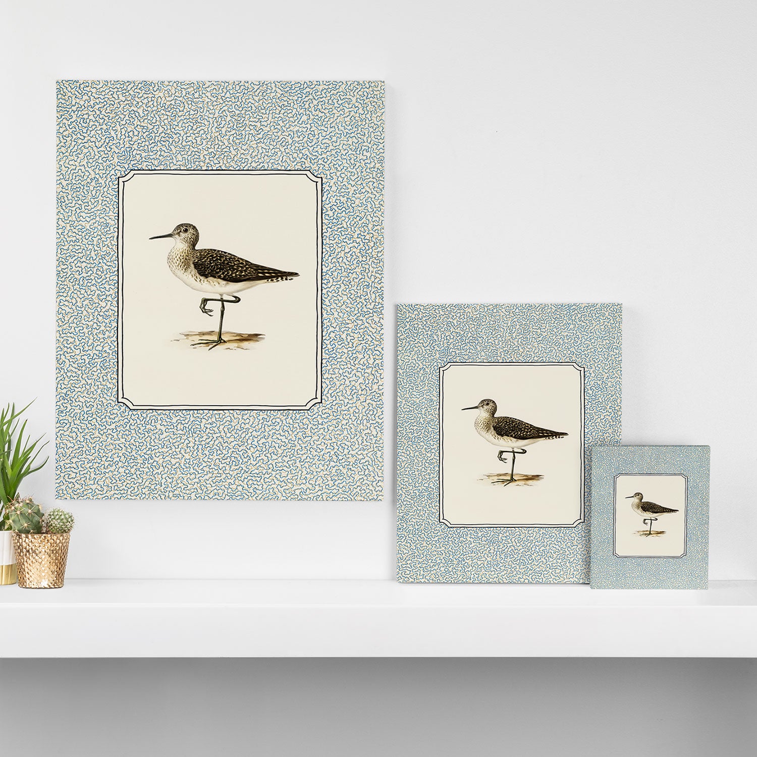 Balancing Sandpiper Canvas Print Gallery Image 3