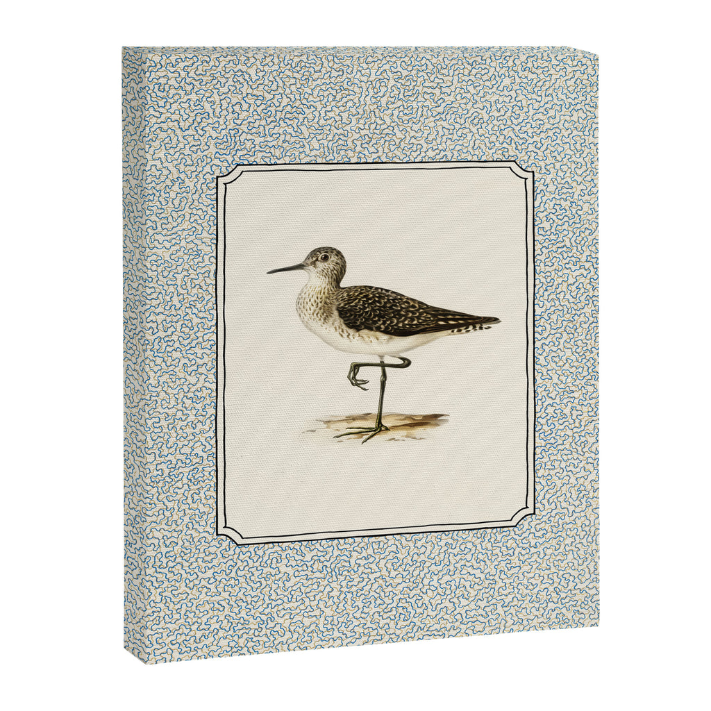 Balancing Sandpiper Canvas Print Gallery Image 6
