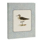 Balancing Sandpiper Canvas Print Gallery Image 6