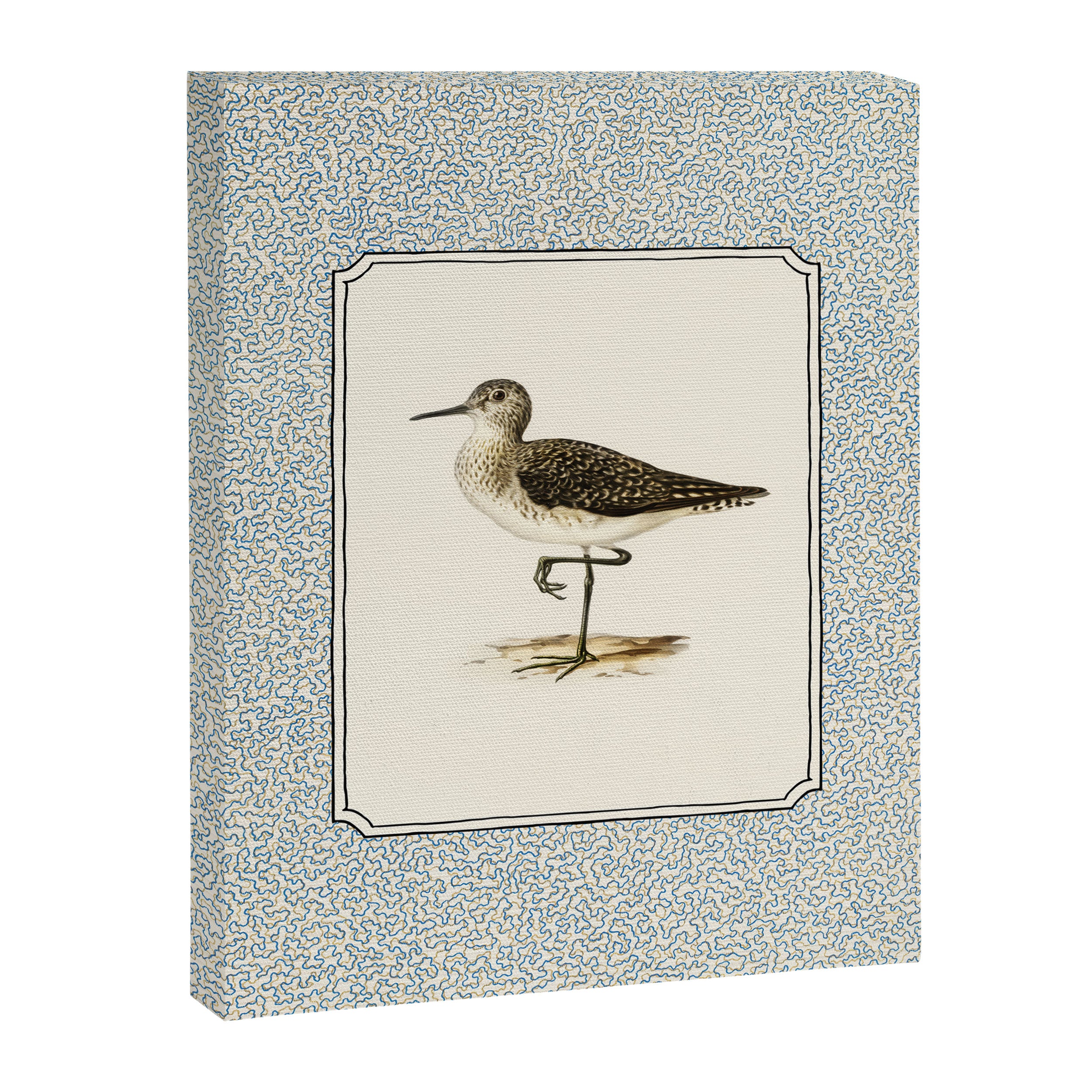 Balancing Sandpiper Canvas Print Gallery Image 6