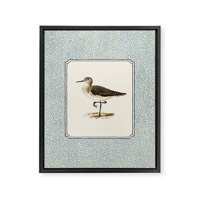Balancing Sandpiper Framed Canvas Print Gallery Image 6