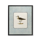 Balancing Sandpiper Framed Canvas Print Gallery Image 6