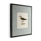 Balancing Sandpiper Framed Canvas Print Gallery Image 2