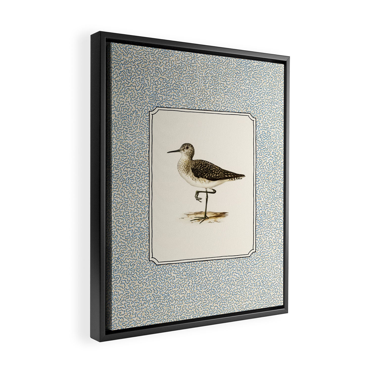 Balancing Sandpiper Framed Canvas Print Gallery Image 2
