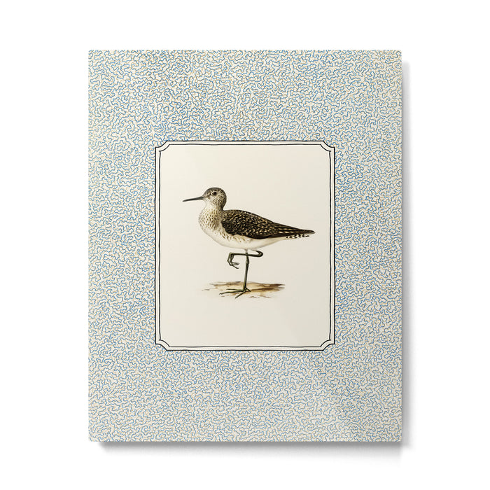 Balancing Sandpiper Metal Print Gallery Image 1