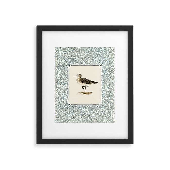 Balancing Sandpiper Framed Art Print Gallery Image 1