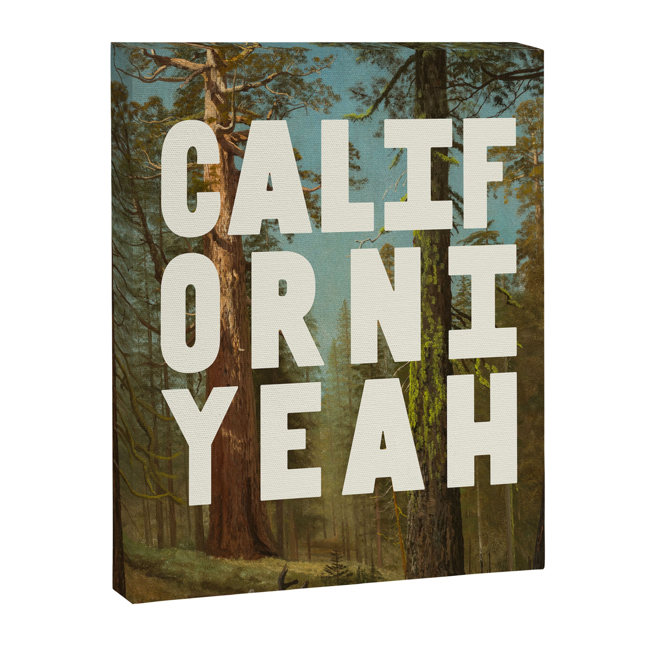 Californiyeah Canvas Print Gallery Image 6