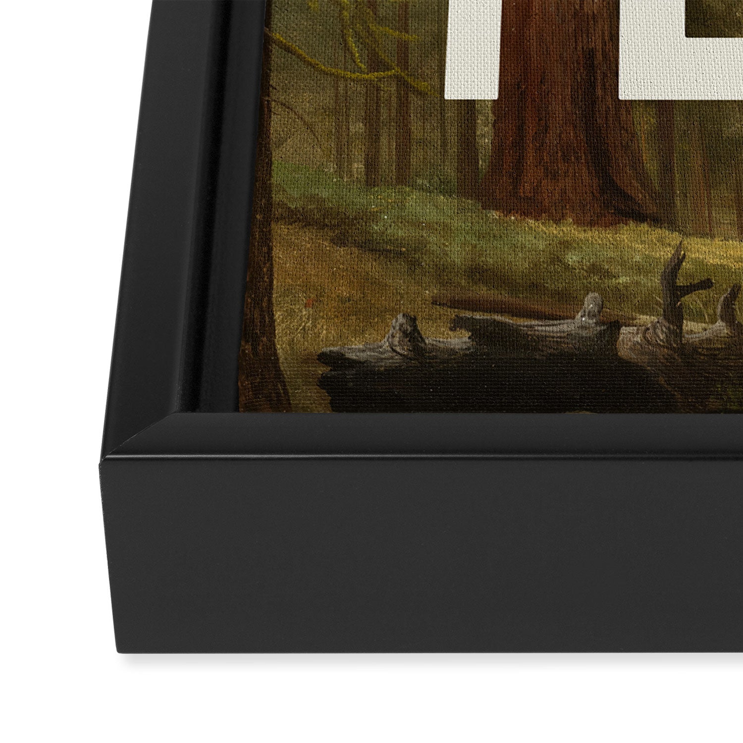 Californiyeah Framed Canvas Print Gallery Image 3