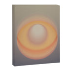 Cosmosis Canvas Print Gallery Image 6