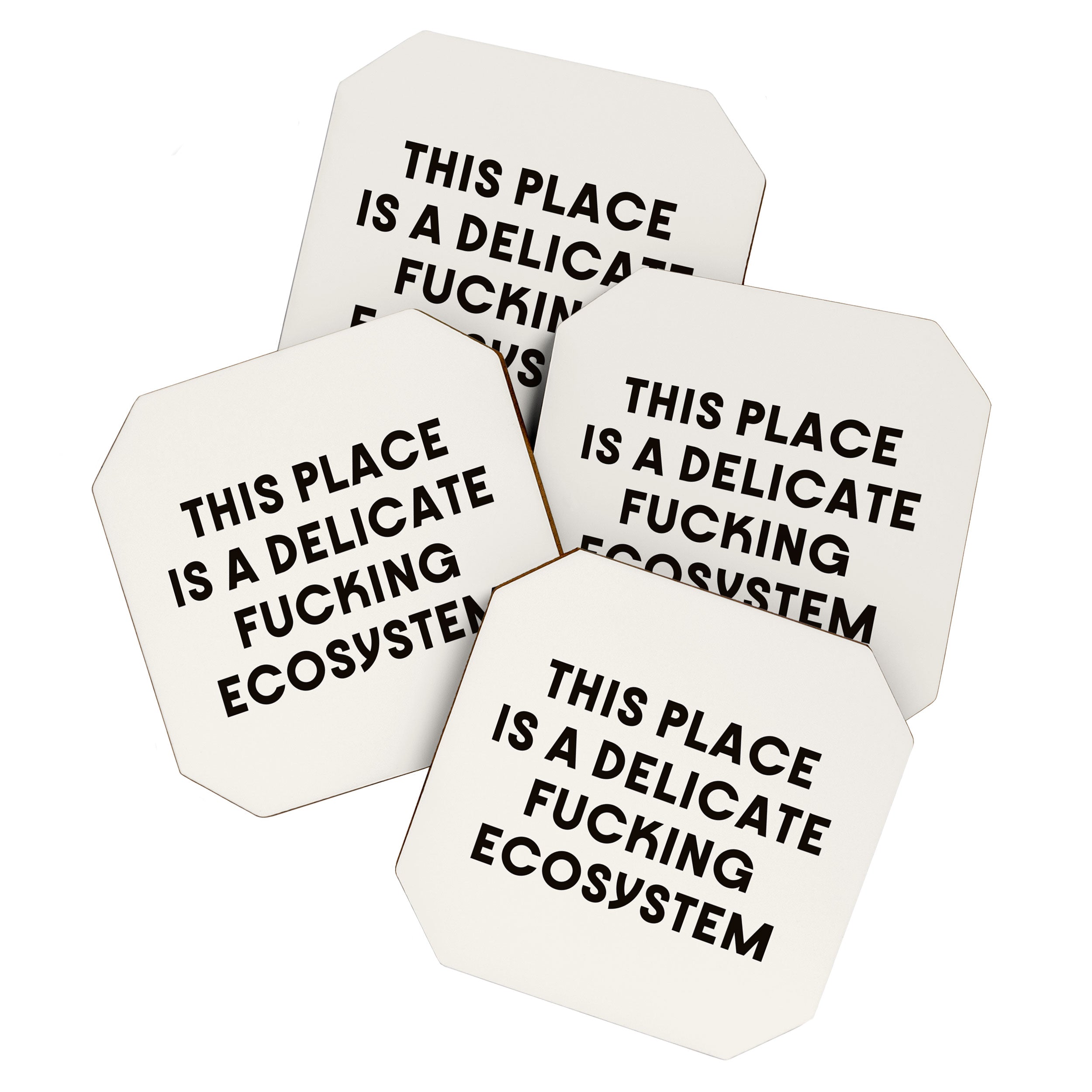 Delicate Fucking Ecosystem - The Bear Funny Saying Coaster Gallery Image 1