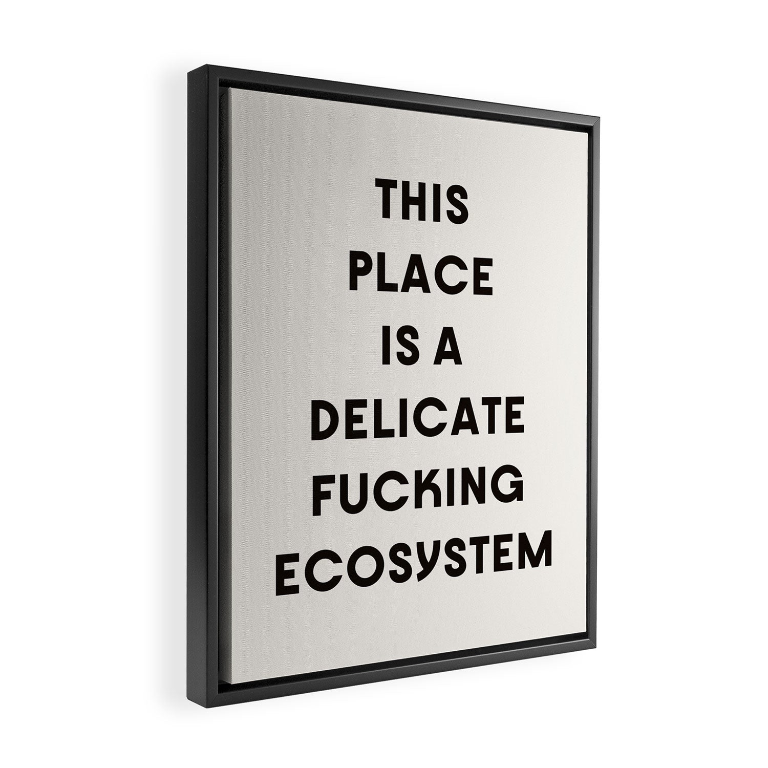 Delicate Fucking Ecosystem - The Bear Funny Saying Framed Canvas Print Gallery Image 2