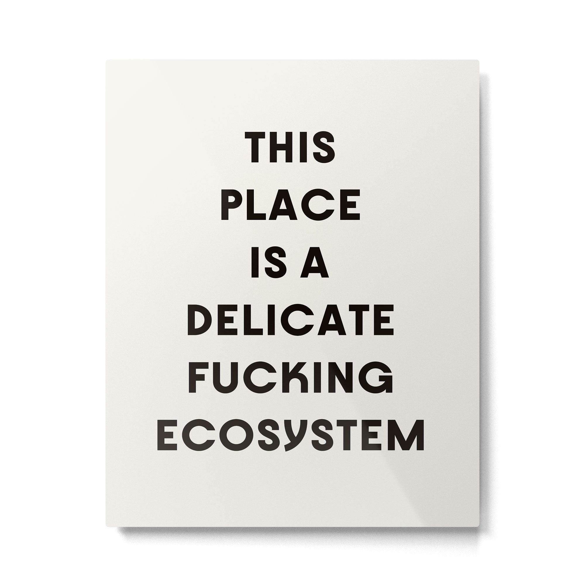 Delicate Fucking Ecosystem - The Bear Funny Saying Metal Print Gallery Image 4
