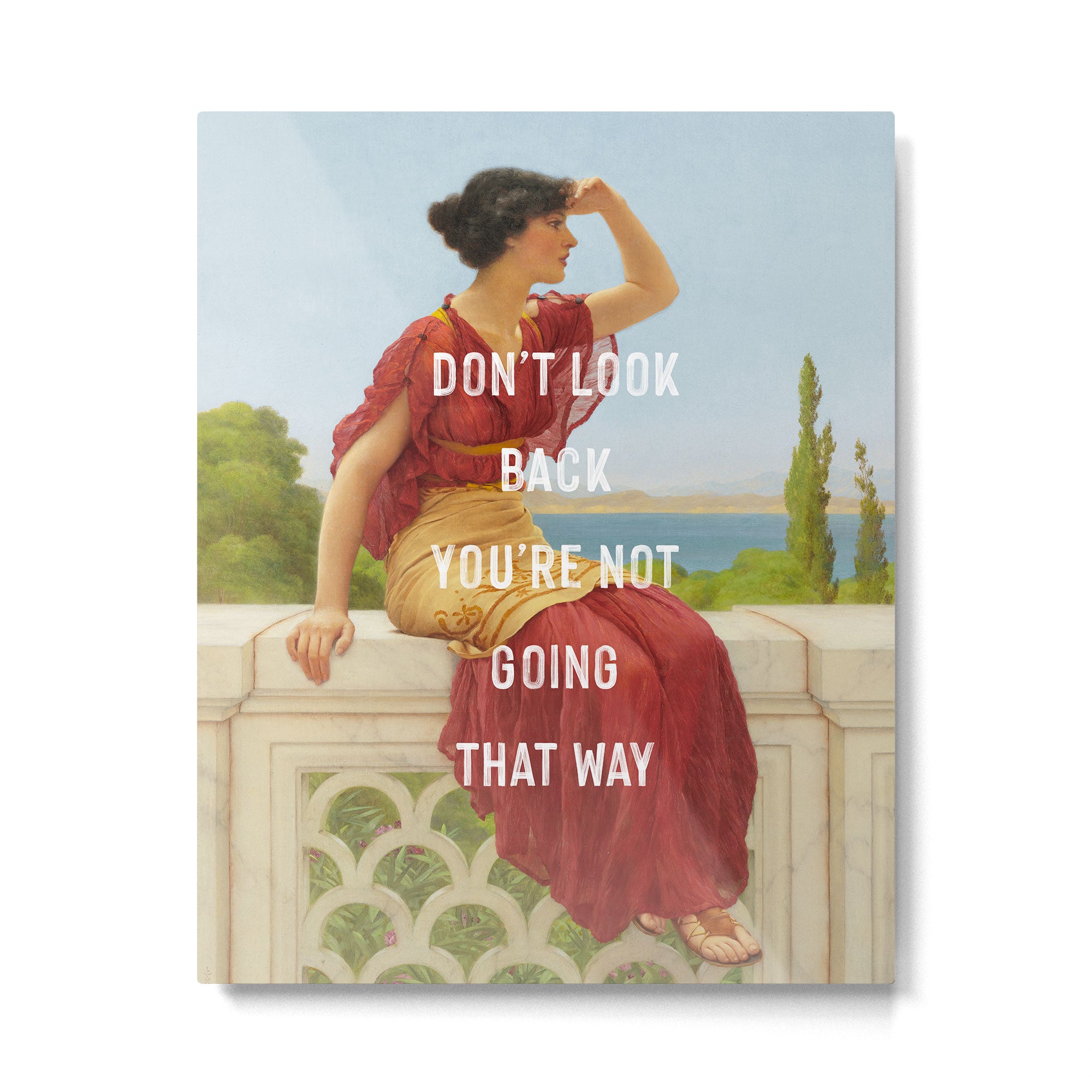 Don't Look Back You're Not Going That Way Metal Print Gallery Image 4