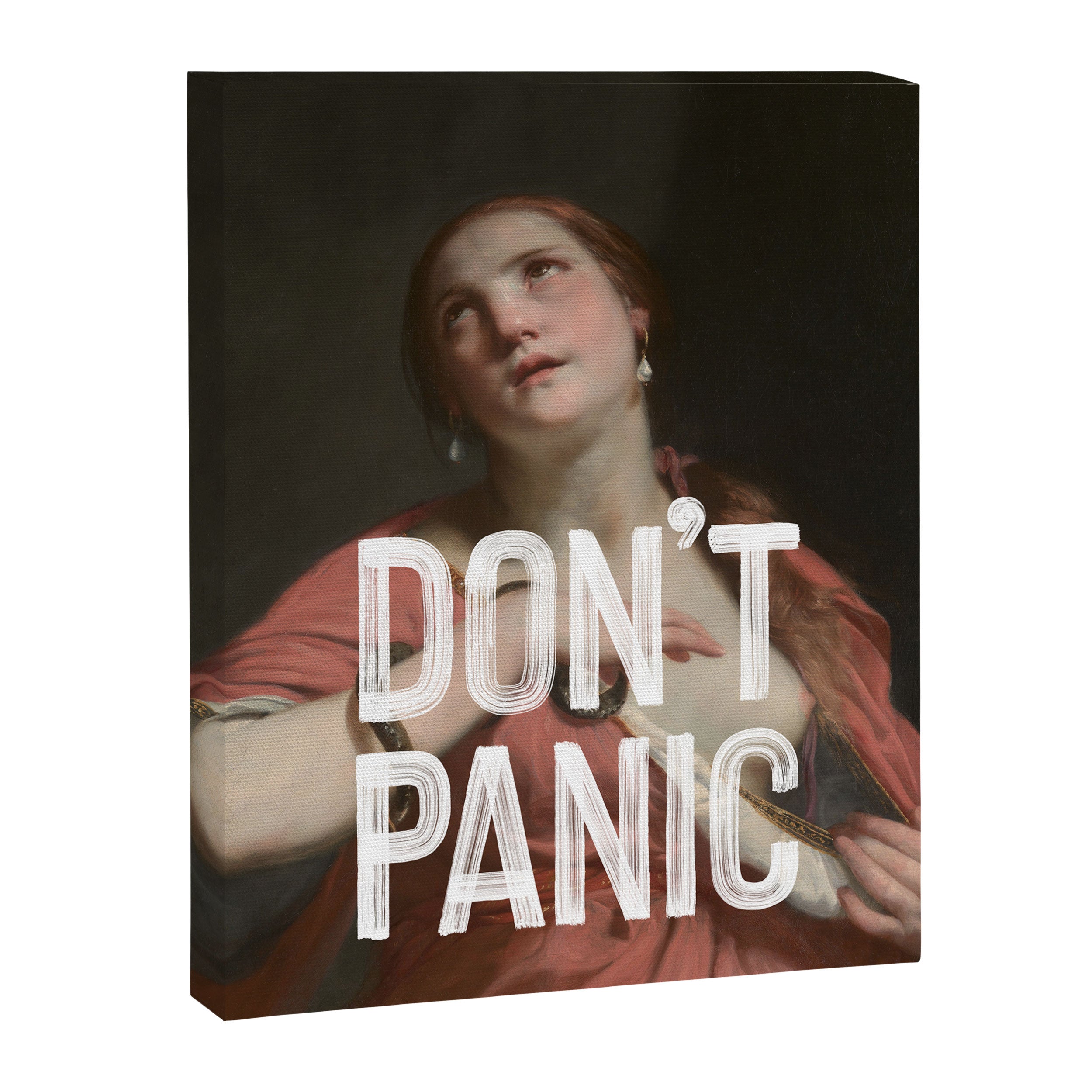 Don't Panic Canvas Print Gallery Image 6
