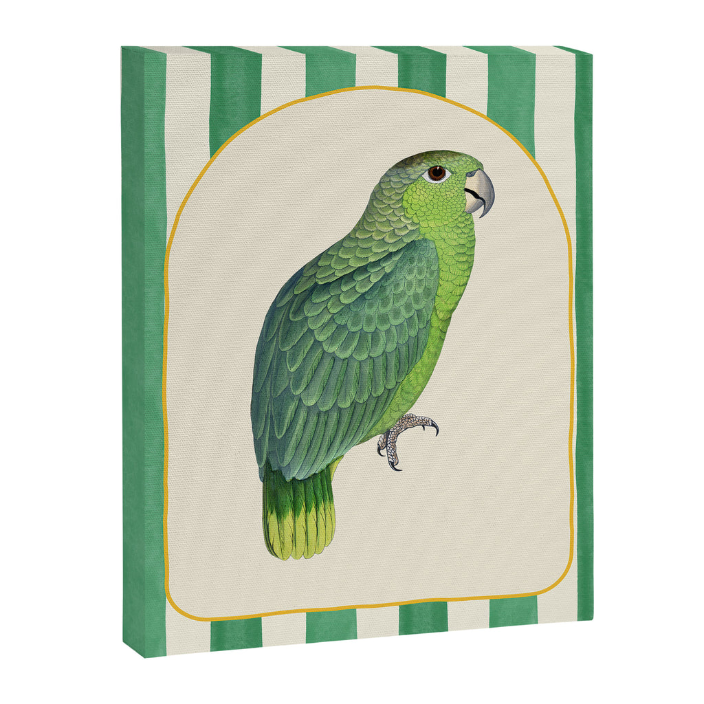Flamboyant Parrot Canvas Print Gallery Image 6