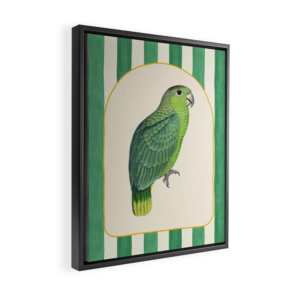 Flamboyant Parrot Framed Canvas Print Gallery Image 2