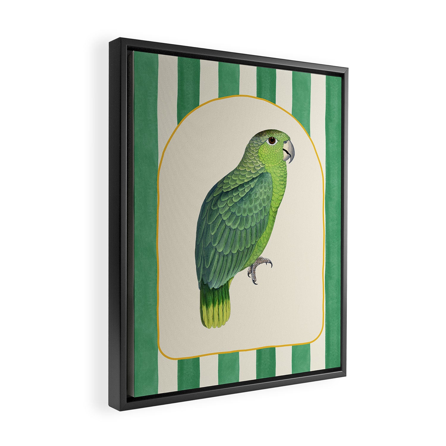 Flamboyant Parrot Framed Canvas Print Gallery Image 2
