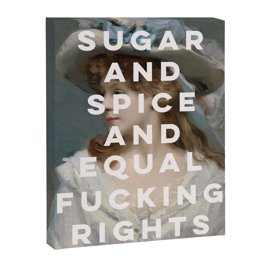 Sugar and Spice and Equal Fucking Rights - Feminist Canvas Print Gallery Image 6