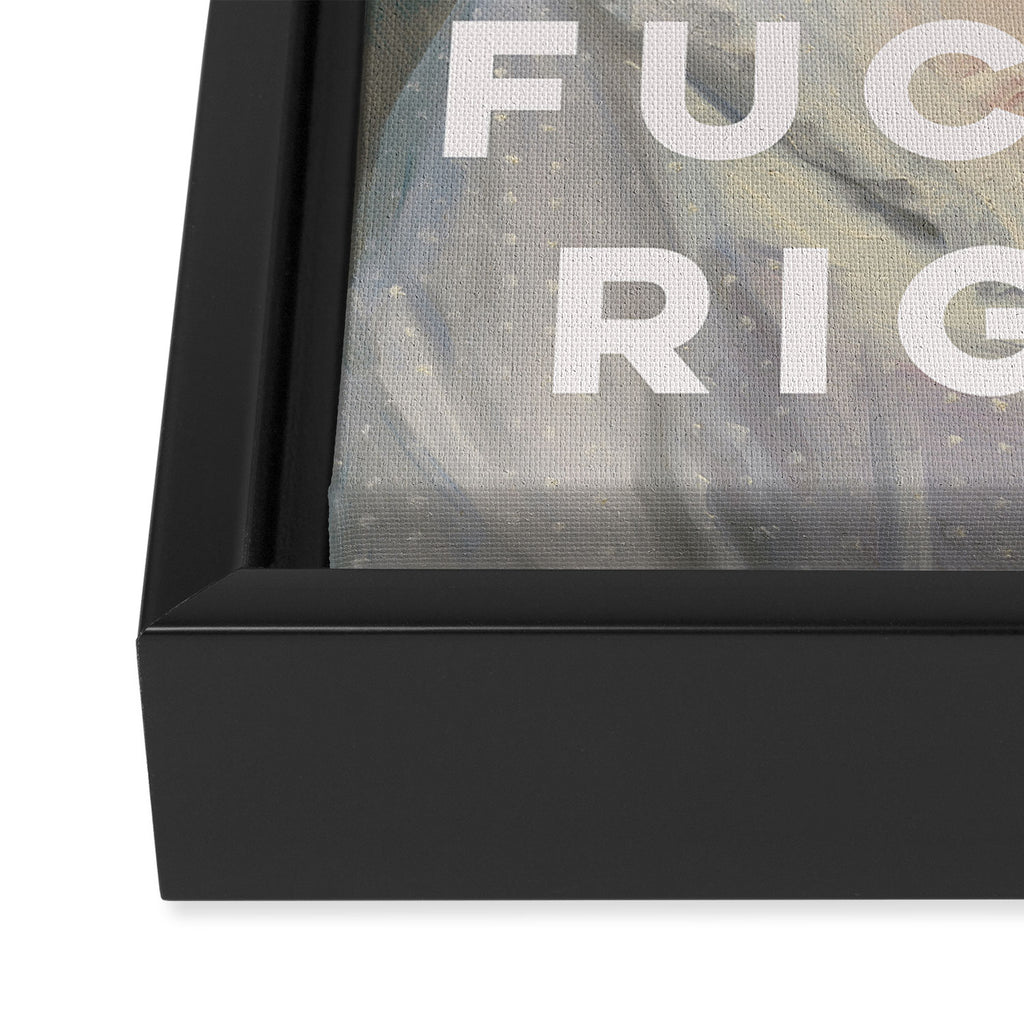 Sugar and Spice and Equal Fucking Rights - Feminist Framed Canvas Print Gallery Image 3