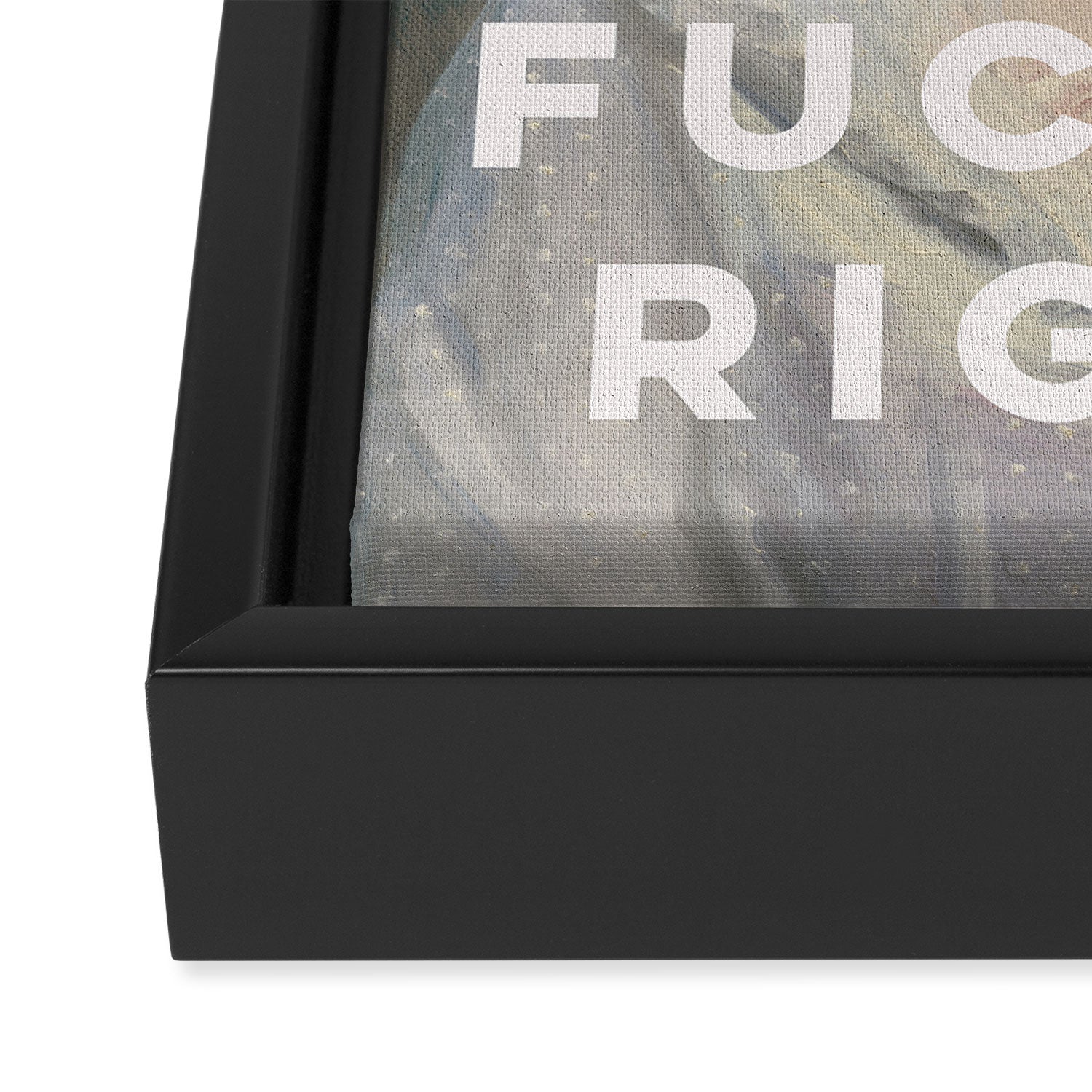Sugar and Spice and Equal Fucking Rights - Feminist Framed Canvas Print Gallery Image 3