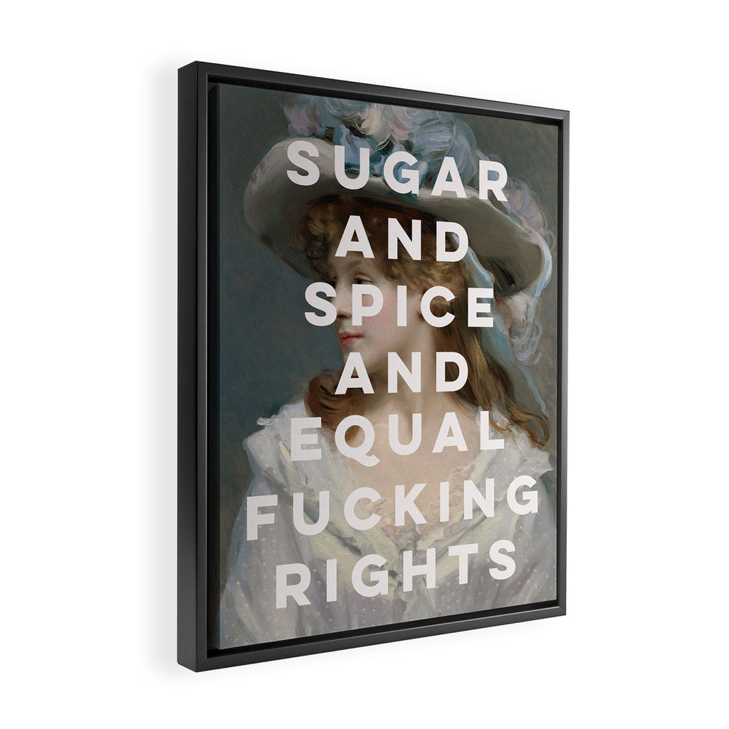 Sugar and Spice and Equal Fucking Rights - Feminist Framed Canvas Print Gallery Image 2