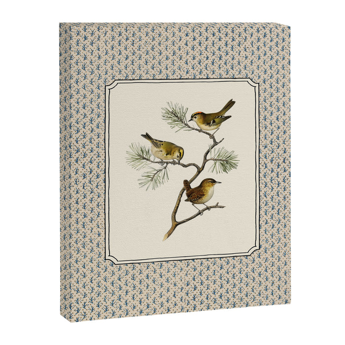 Three Wrens on a Branch Canvas Print Gallery Image 1
