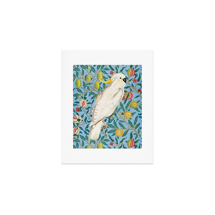 Tropical Cockatoo Bird on Antique William Morris Four Fruits Pattern Art Print Gallery Image 1