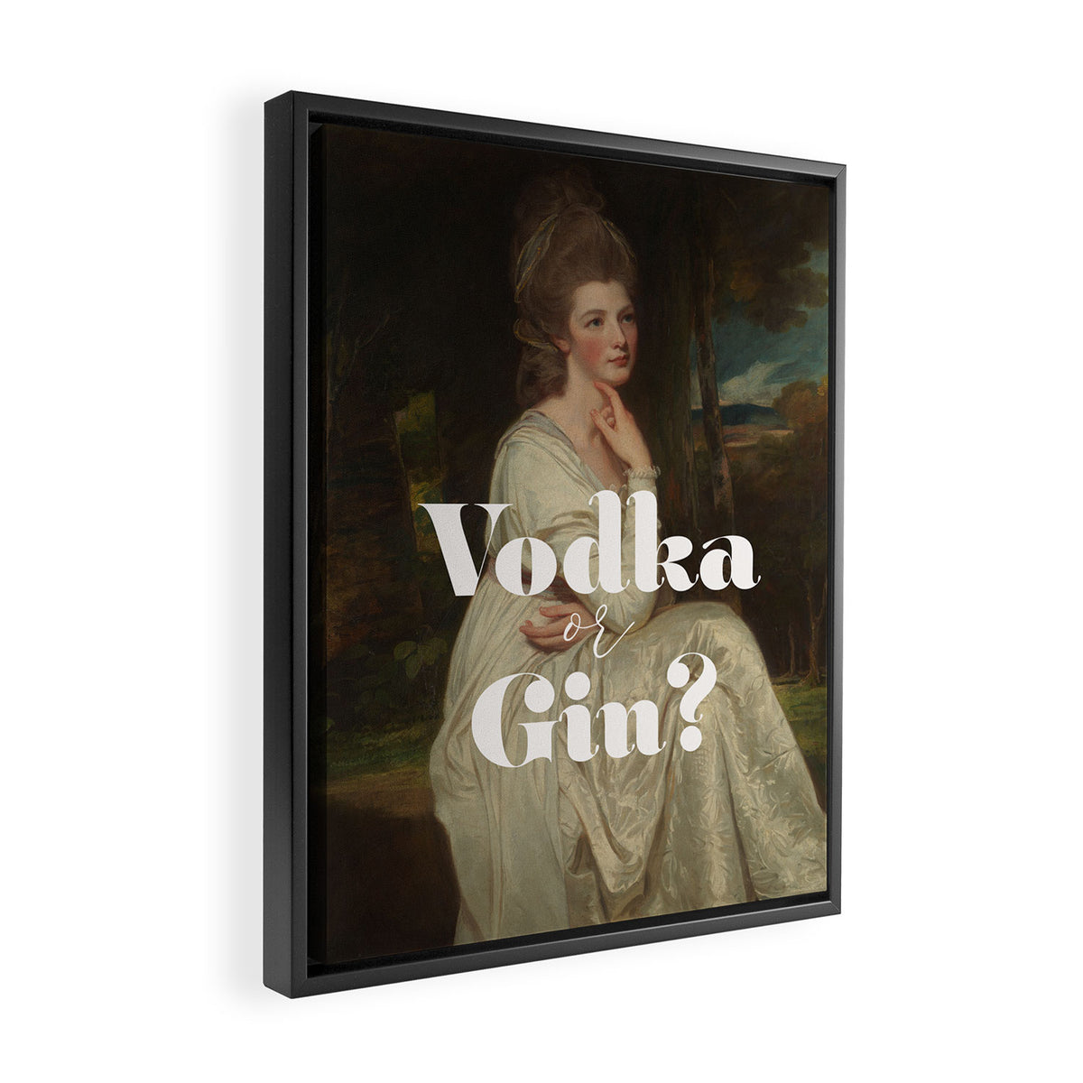 Vodka or Gin? Cocktail Bar Framed Canvas Print Gallery Image 2