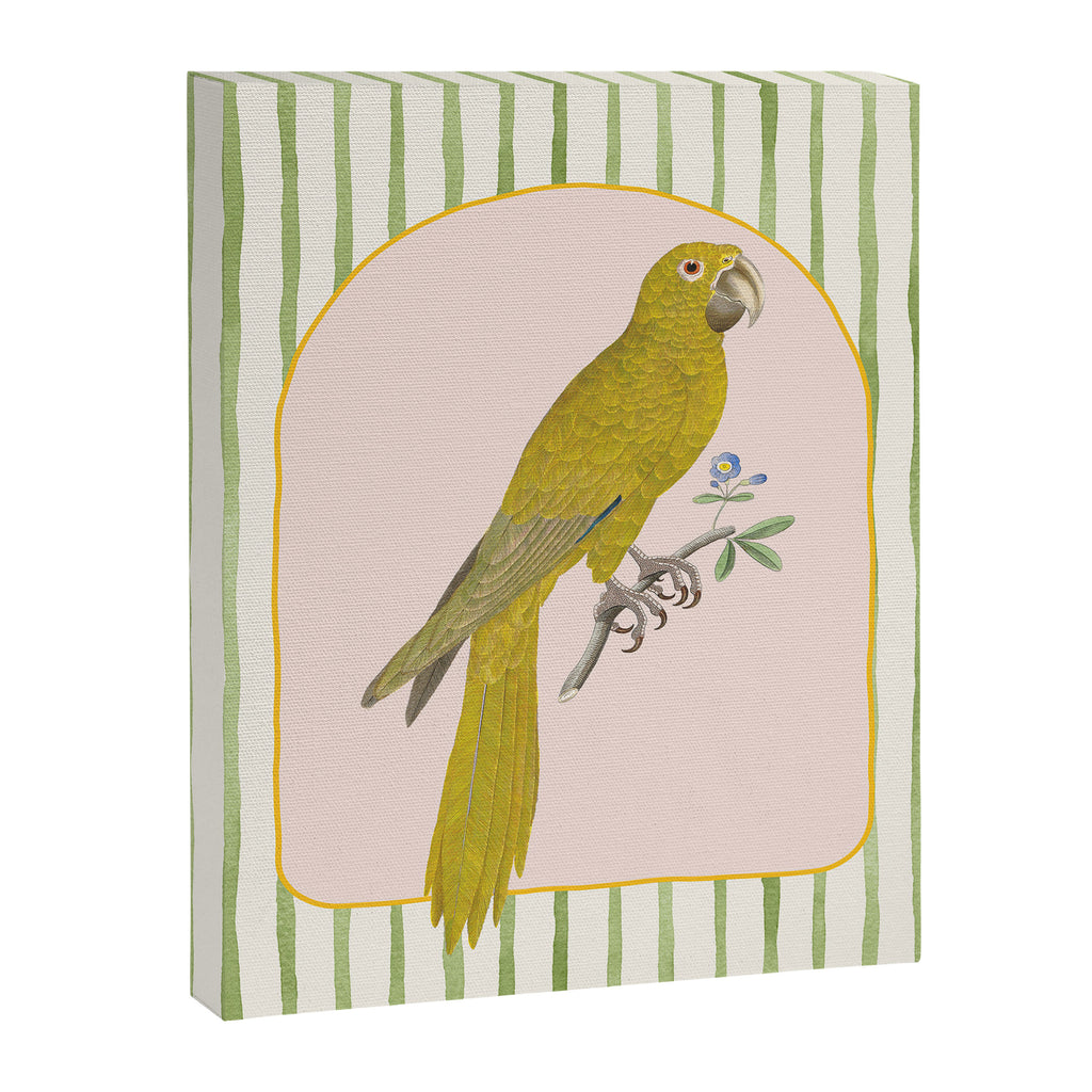 Yellow Parrot Canvas Print Gallery Image 6