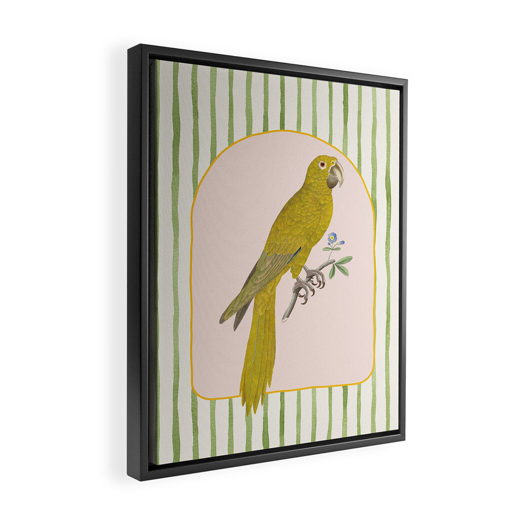 Yellow Parrot Framed Canvas Print Gallery Image 2