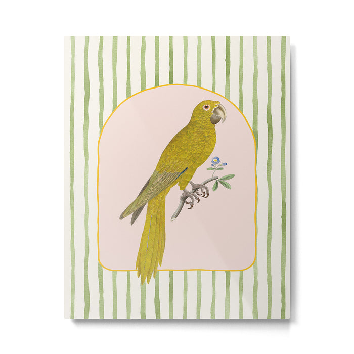 Yellow Parrot Metal Print Gallery Image 1