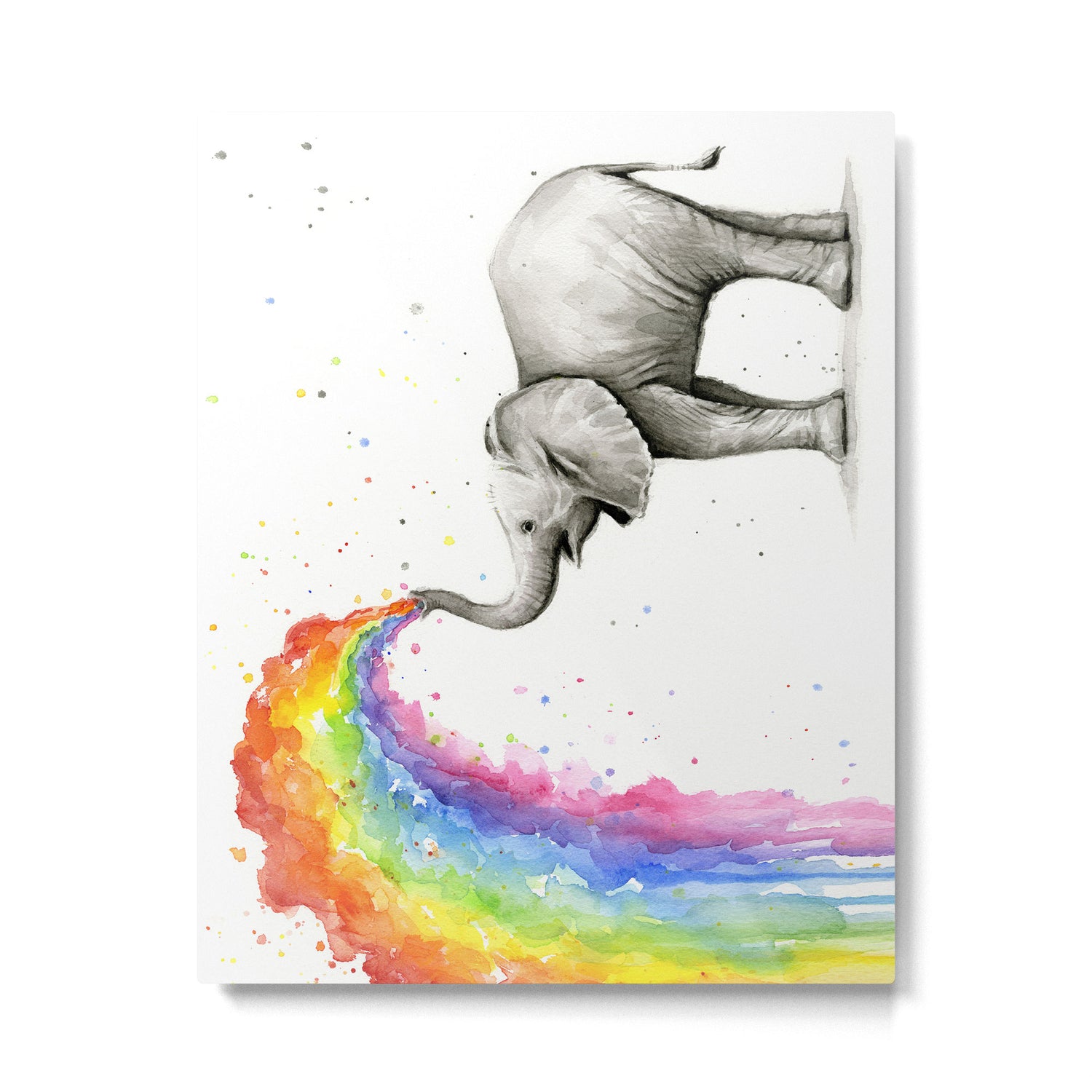 Baby Elephant Spraying Rainbow Metal Print Gallery Image 4