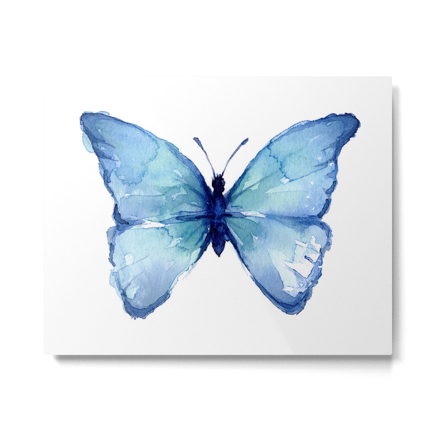 Blue Butterfly Watercolor Metal Print Gallery Image 6