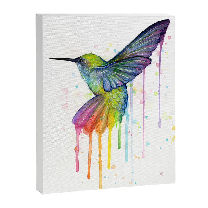 Hummingbird Rainbow Watercolor Canvas Print Gallery Image 1