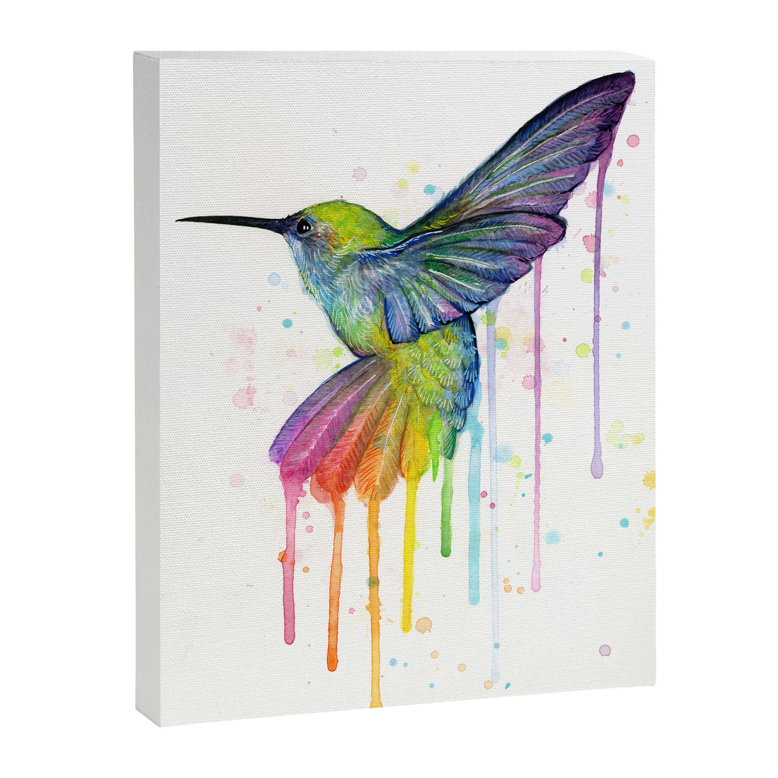 Hummingbird Rainbow Watercolor Canvas Print Gallery Image 6