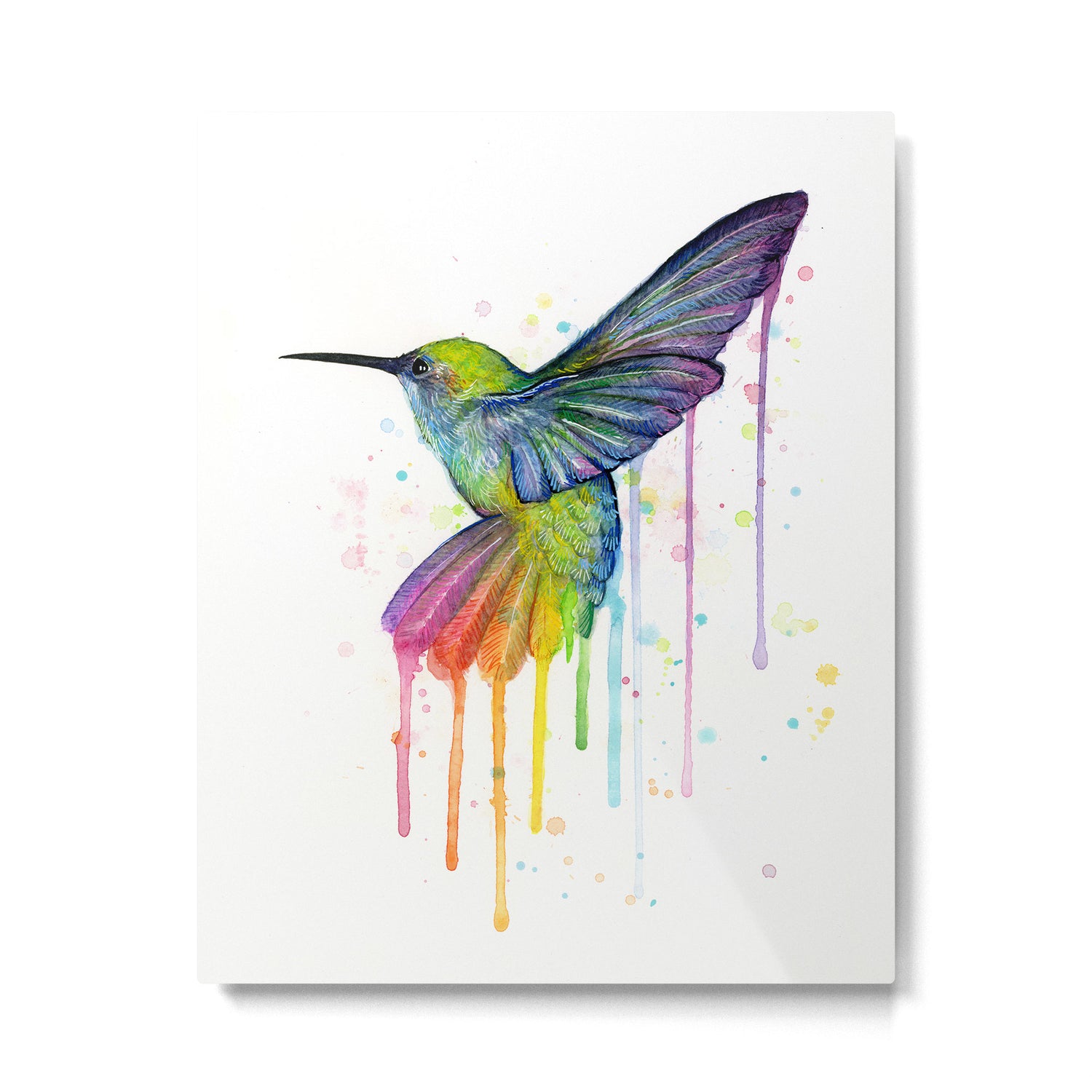Hummingbird Rainbow Watercolor Metal Print Gallery Image 4