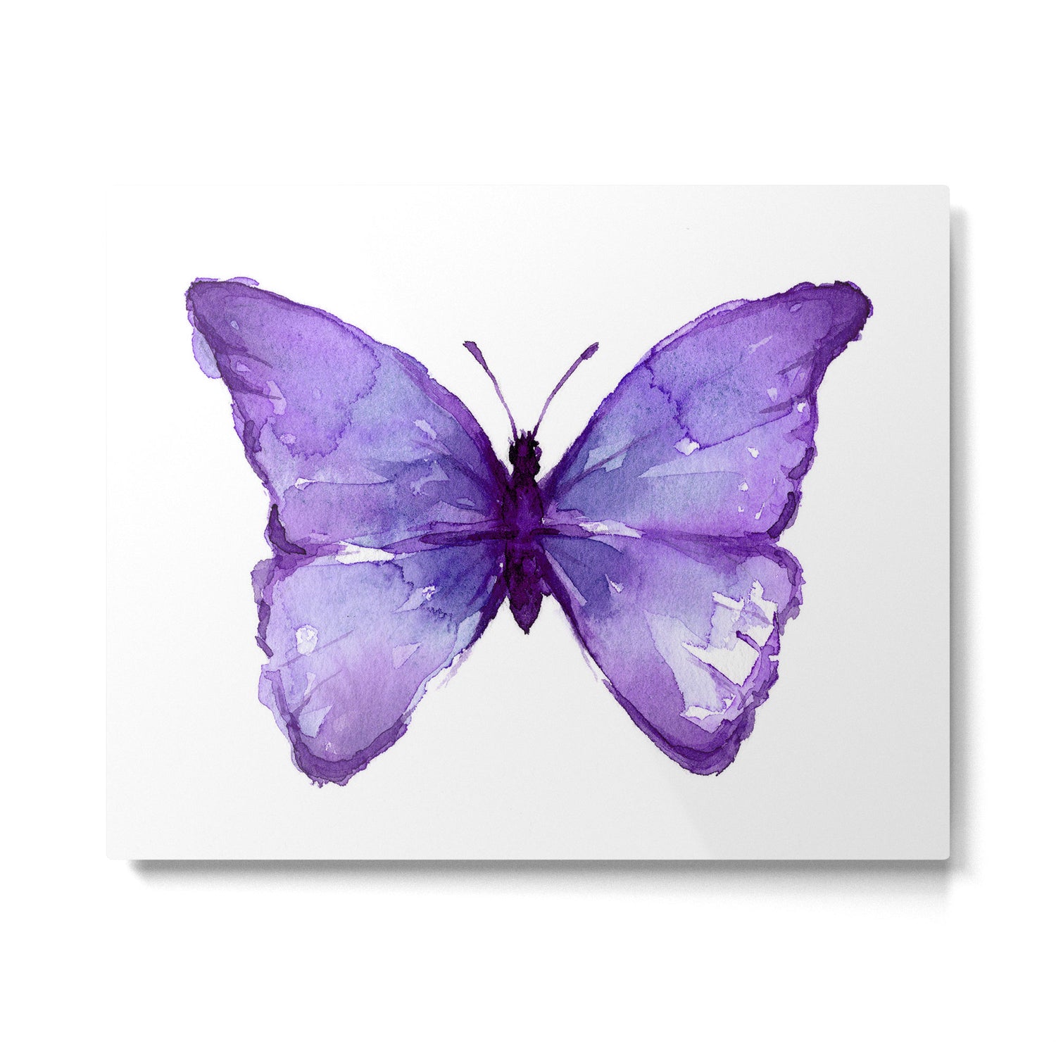 Purple Butterfly Metal Print Gallery Image 4