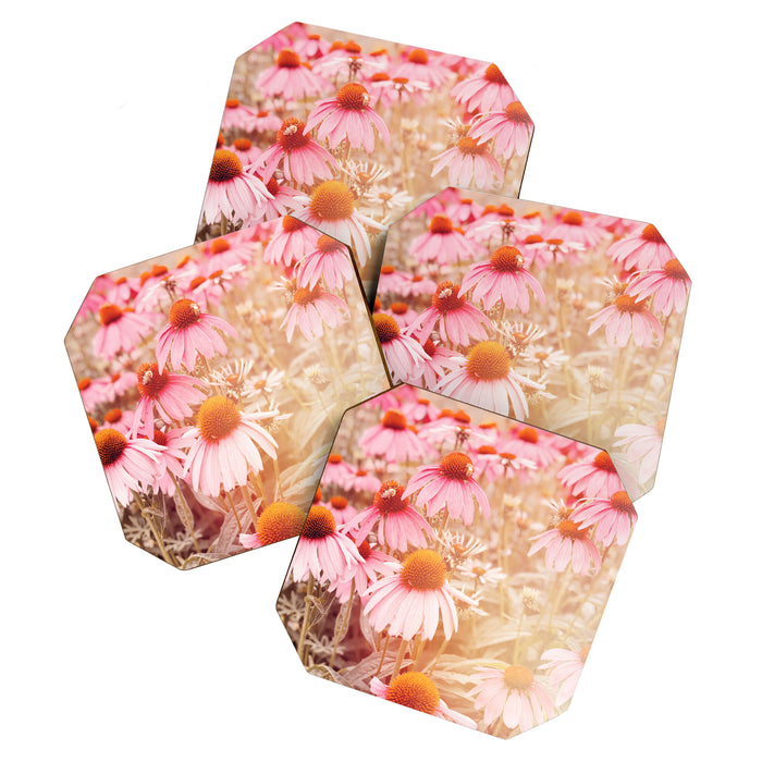 37 Flowers Coaster Gallery Image 1