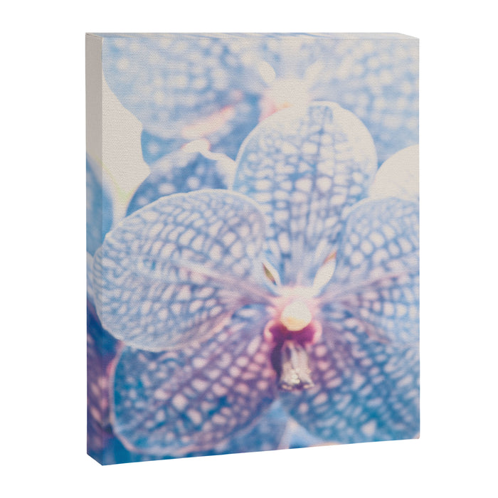 Abstract Orchid Flower Canvas Print Gallery Image 1