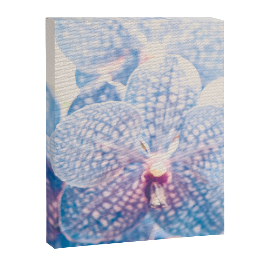 Abstract Orchid Flower Canvas Print Gallery Image 6