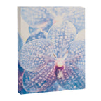 Abstract Orchid Flower Canvas Print Gallery Image 6
