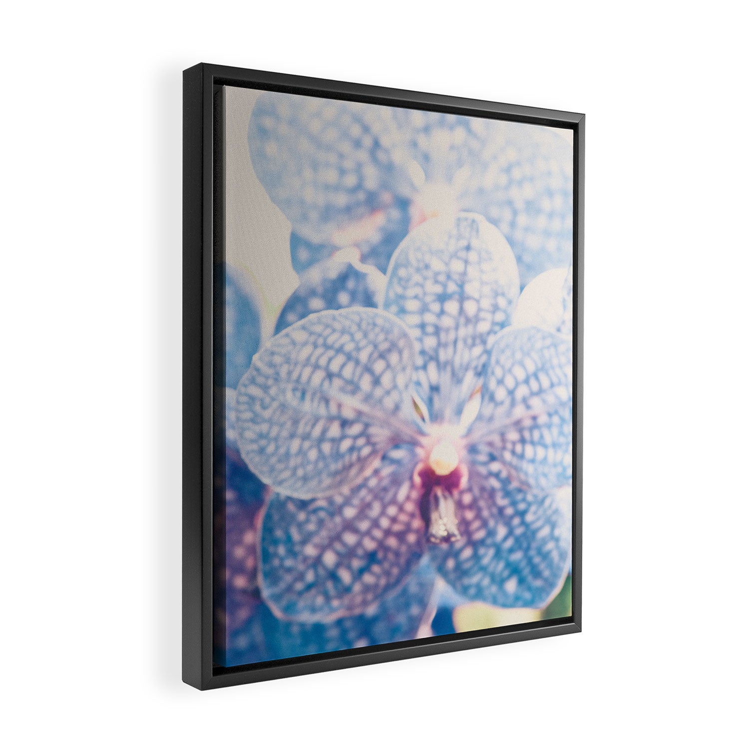 Abstract Orchid Flower Framed Canvas Print Gallery Image 2