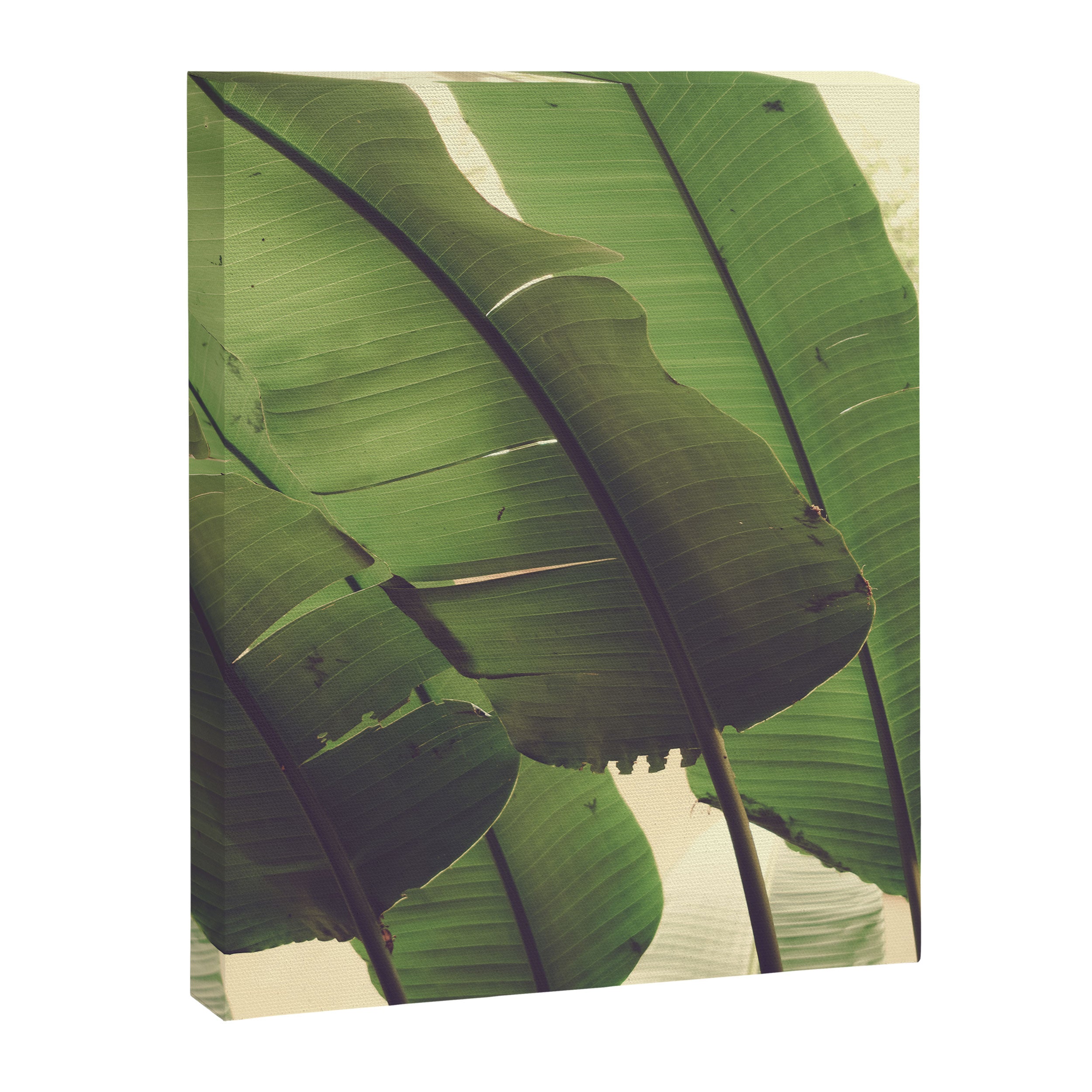 Aligned Canvas Print Gallery Image 6