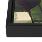 Aligned Framed Canvas Print Gallery Image 3