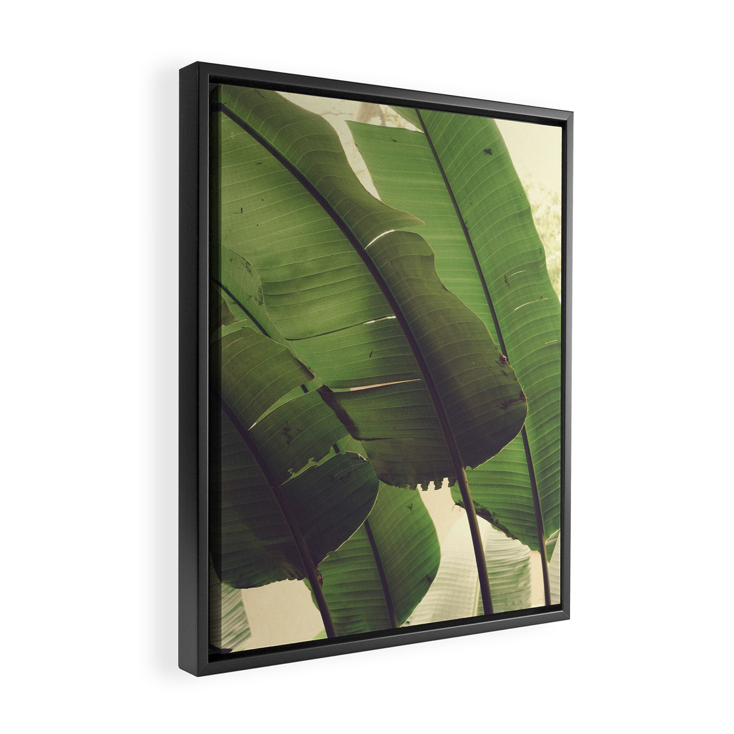 Aligned Framed Canvas Print Gallery Image 2