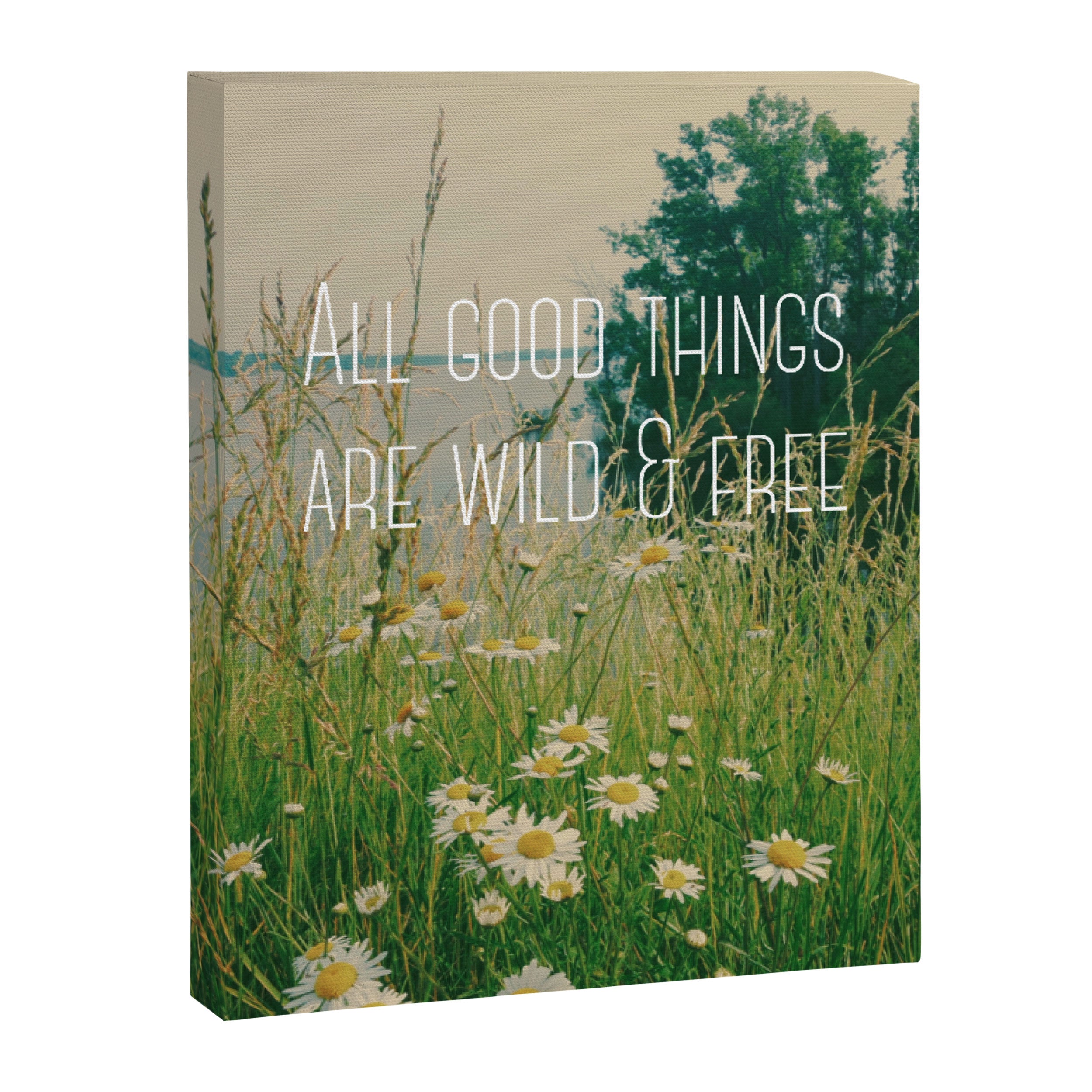 All Good Things Are Wild and Free Canvas Print Gallery Image 6