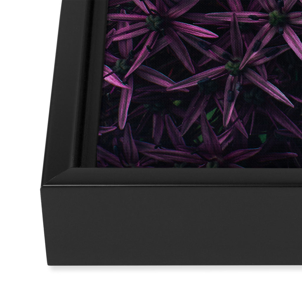 Allium Flower Framed Canvas Print Gallery Image 3