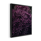 Allium Flower Framed Canvas Print Gallery Image 2