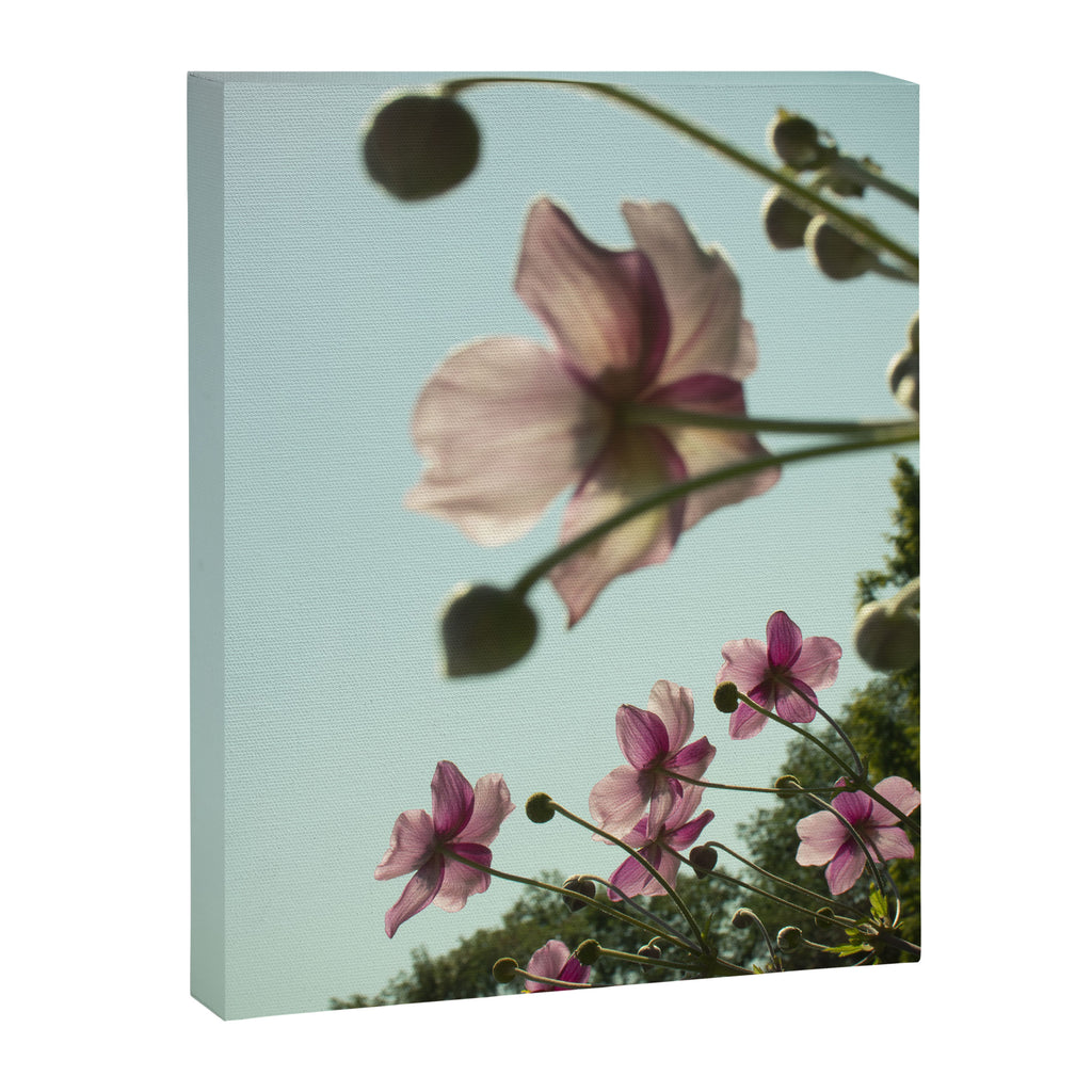Aloft - rose pink autumn flower photo floral  Canvas Print Gallery Image 6