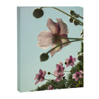 Aloft - rose pink autumn flower photo floral  Canvas Print Gallery Image 6